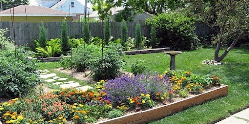 Flowering garden